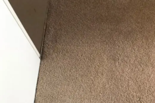 Carpet Cleaning in Tootgarook